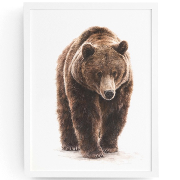 Creative Path Studios Other - Watercolor Grizzly Bear Portrait Wall Art Print Poster - Unframed Artwork